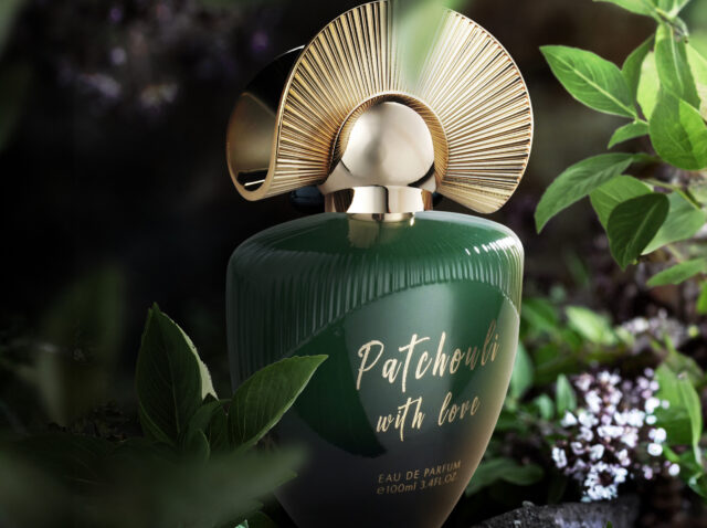 Oregano essential oil in glass bottle on wooden background. copy space